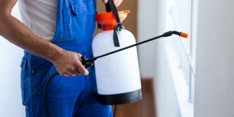 Como fazer dedetização em casa em Niterói