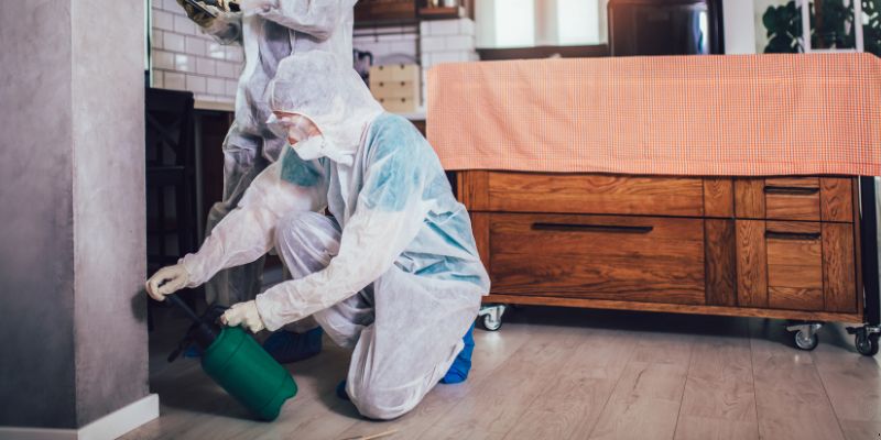 Dedetização em Apartamento Como Funciona em Niterói: Confira 4 Passos Dedetização em Apartamento Como Funciona em Niterói: Confira 4 Passos