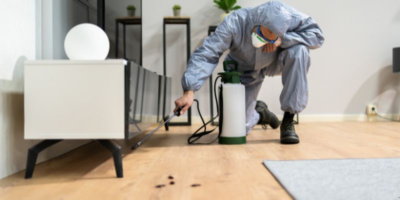 Quanto tempo dura uma dedetização em Niterói?